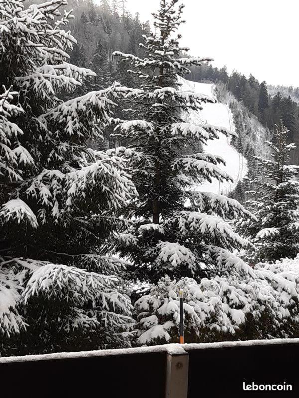 Appartement A La Montagne ,Vue Sur Les Pistes La Bresse Esterno foto